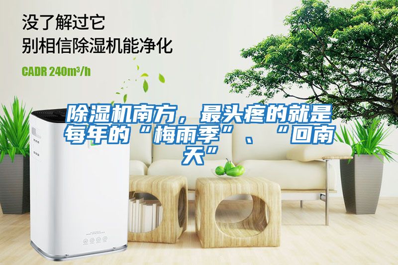 除濕機南方，最頭疼的就是每年的“梅雨季”、“回南天”