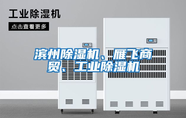 濱州除濕機、雁飛商貿、工業(yè)除濕機