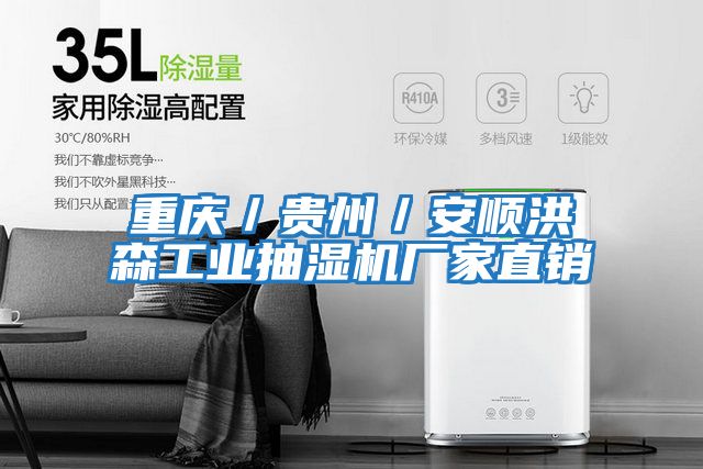 重慶／貴州／安順洪森工業(yè)抽濕機廠(chǎng)家直銷(xiāo)