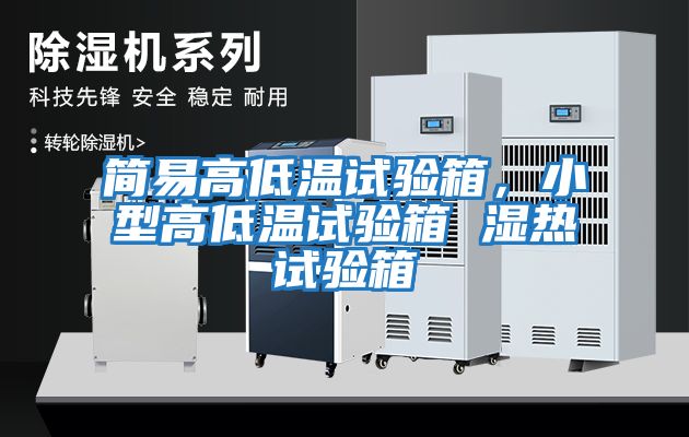 簡(jiǎn)易高低溫試驗箱，小型高低溫試驗箱 濕熱試驗箱
