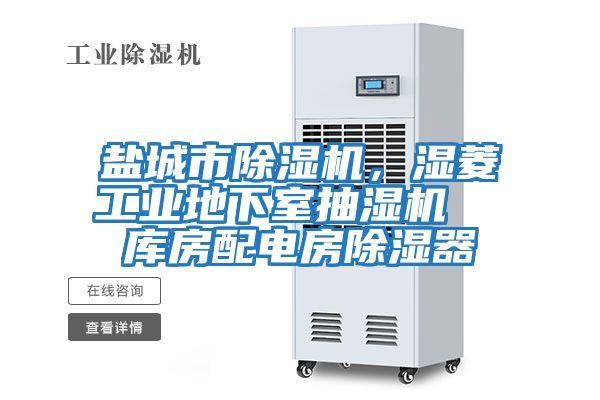鹽城市除濕機，濕菱工業(yè)地下室抽濕機  庫房配電房除濕器