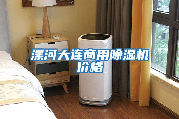 漯河大連商用除濕機價(jià)格