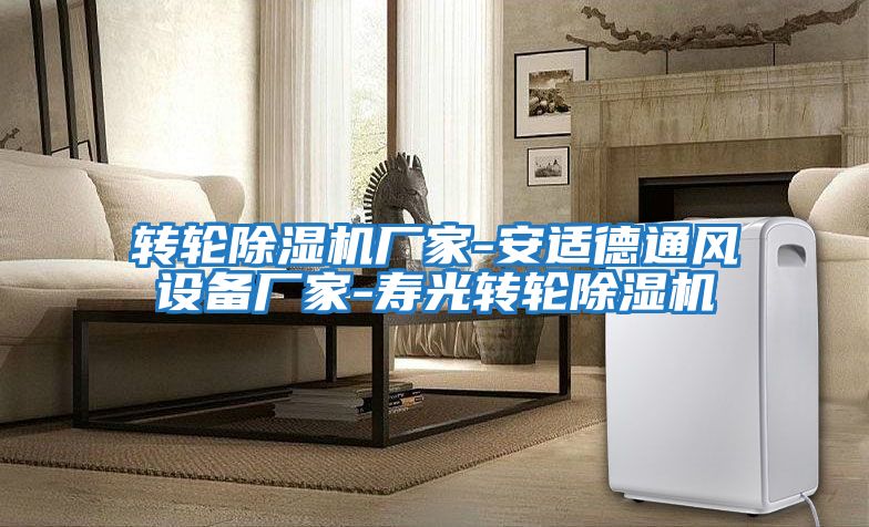 轉輪除濕機廠(chǎng)家-安適德通風(fēng)設備廠(chǎng)家-壽光轉輪除濕機