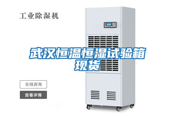 武漢恒溫恒濕試驗箱現貨