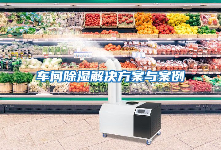 車(chē)間除濕解決方案與案例