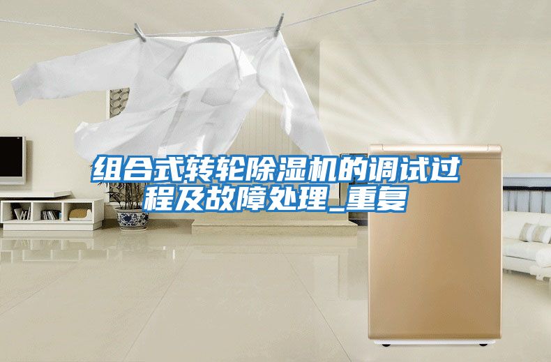 組合式轉輪除濕機的調試過(guò)程及故障處理_重復