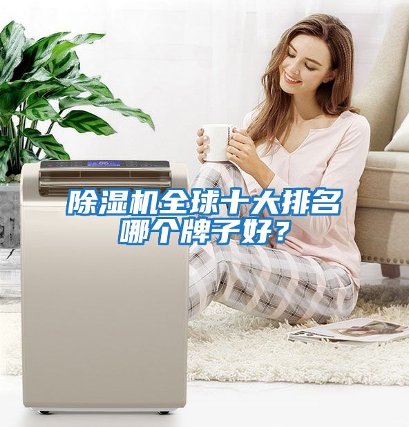 除濕機全球十大排名哪個(gè)牌子好？