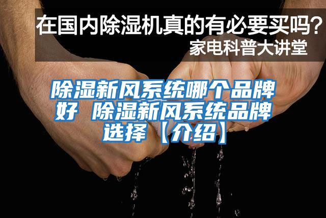 除濕新風(fēng)系統哪個(gè)品牌好 除濕新風(fēng)系統品牌選擇【介紹】