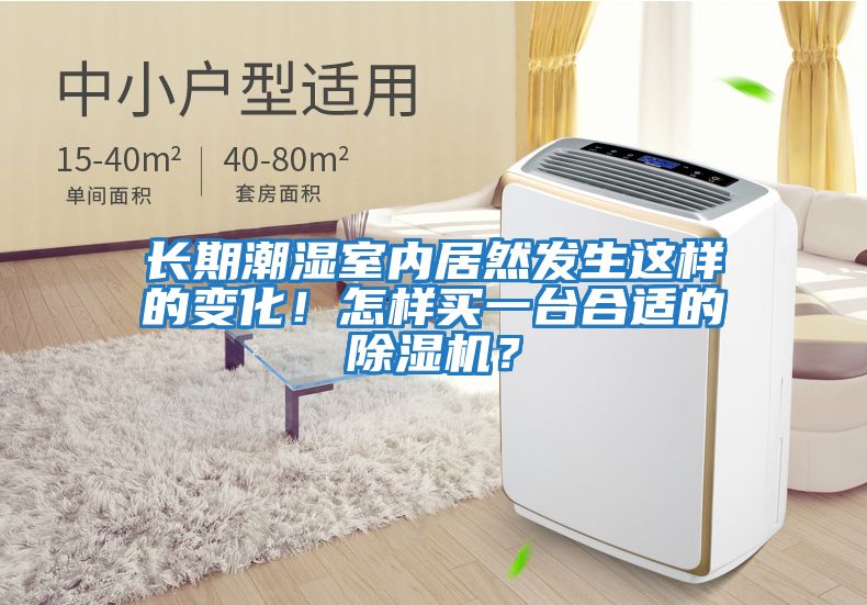 長(cháng)期潮濕室內居然發(fā)生這樣的變化！怎樣買(mǎi)一臺合適的除濕機？