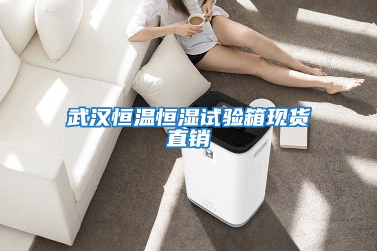 武漢恒溫恒濕試驗箱現貨直銷(xiāo)