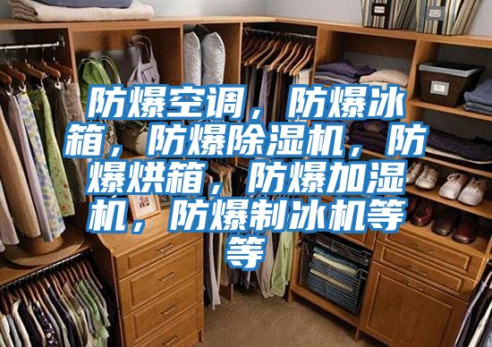 防爆空調，防爆冰箱，防爆除濕機，防爆烘箱，防爆加濕機，防爆制冰機等等