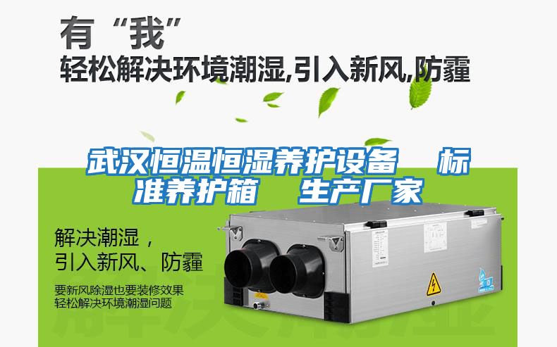 武漢恒溫恒濕養護設備 標準養護箱 生產(chǎn)廠(chǎng)家