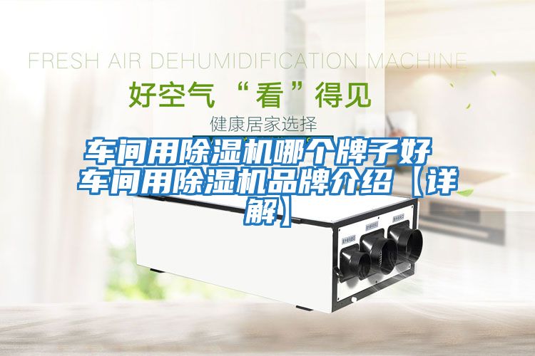 車(chē)間用除濕機哪個(gè)牌子好 車(chē)間用除濕機品牌介紹【詳解】