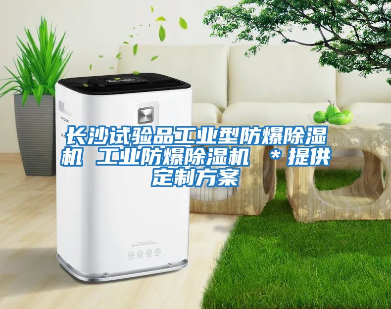 長(cháng)沙試驗品工業(yè)型防爆除濕機 工業(yè)防爆除濕機 ＊提供定制方案
