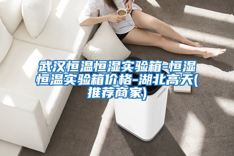 武漢恒溫恒濕實(shí)驗箱-恒濕恒溫實(shí)驗箱價(jià)格-湖北高天(推薦商家)