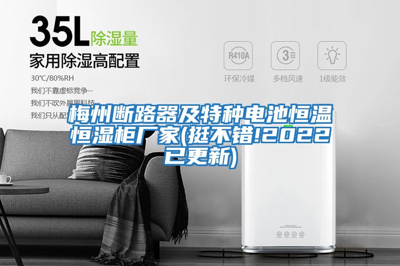 梅州斷路器及特種電池恒溫恒濕柜廠(chǎng)家(挺不錯!2022已更新)
