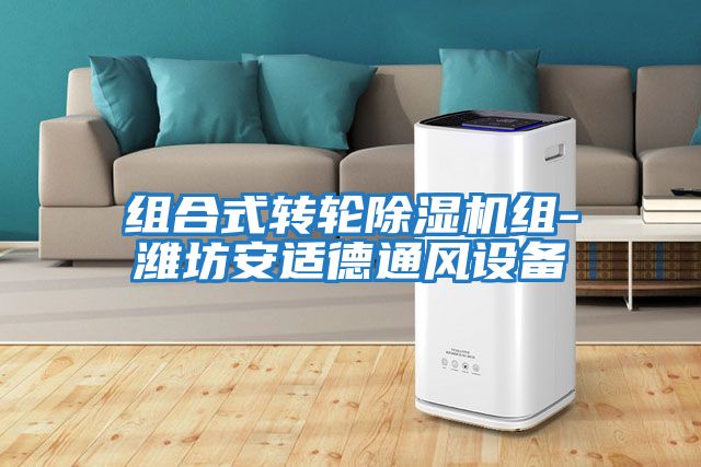 組合式轉輪除濕機組-濰坊安適德通風(fēng)設備