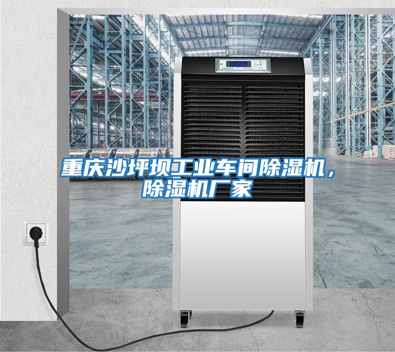 重慶沙坪壩工業(yè)車(chē)間除濕機，除濕機廠(chǎng)家