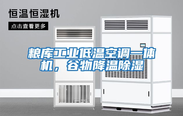 糧庫工業(yè)低溫空調一體機，谷物降溫除濕