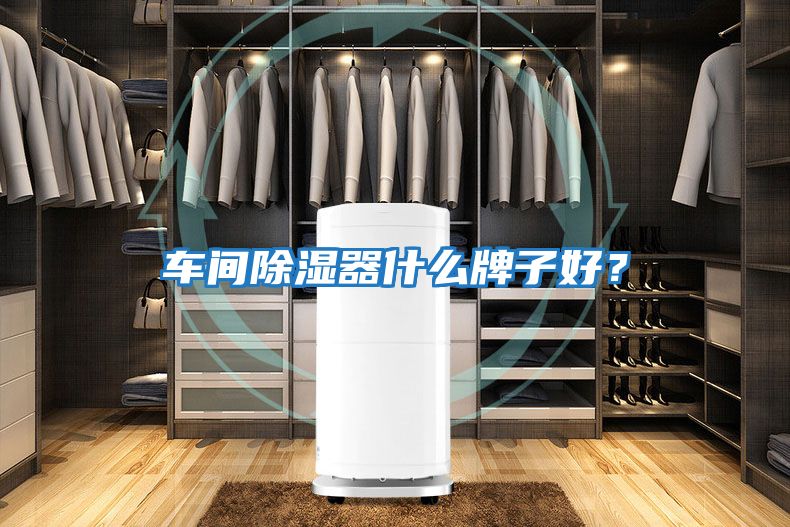 車(chē)間除濕器什么牌子好？