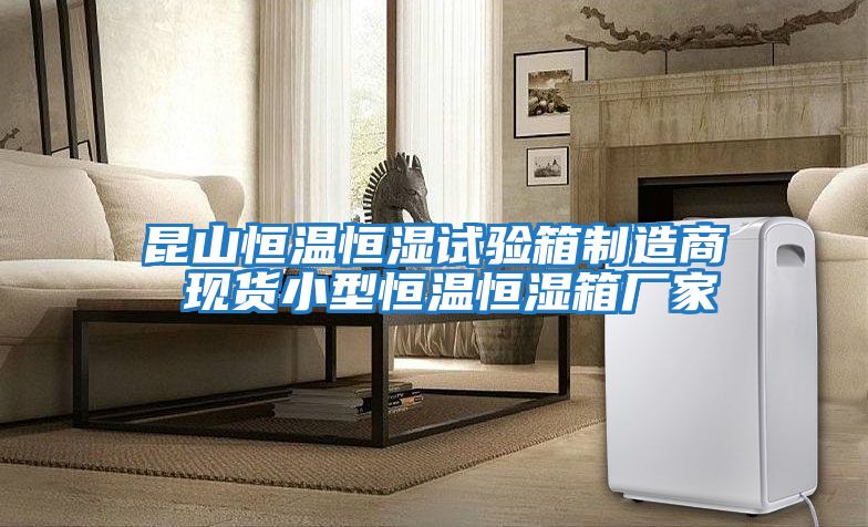 昆山恒溫恒濕試驗箱制造商 現貨小型恒溫恒濕箱廠(chǎng)家