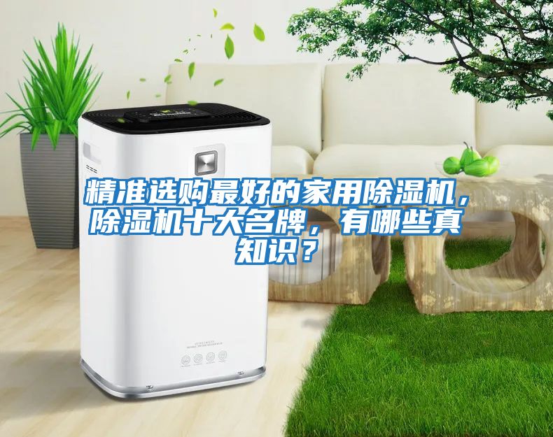 精準選購最好的家用除濕機，除濕機十大名牌，有哪些真知識？