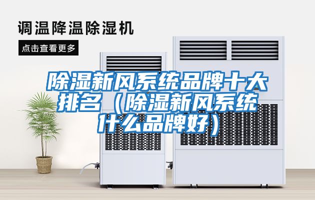 除濕新風(fēng)系統品牌十大排名（除濕新風(fēng)系統什么品牌好）
