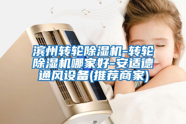 濱州轉輪除濕機-轉輪除濕機哪家好-安適德通風(fēng)設備(推薦商家)