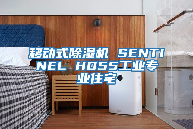 移動(dòng)式除濕機 SENTINEL HD55工業(yè)專(zhuān)業(yè)住宅