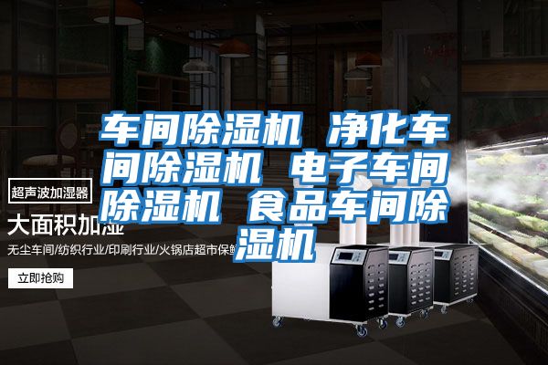 車(chē)間除濕機 凈化車(chē)間除濕機 電子車(chē)間除濕機 食品車(chē)間除濕機