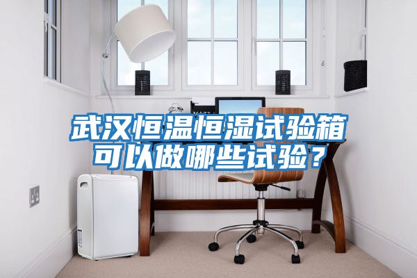 武漢恒溫恒濕試驗箱可以做哪些試驗？