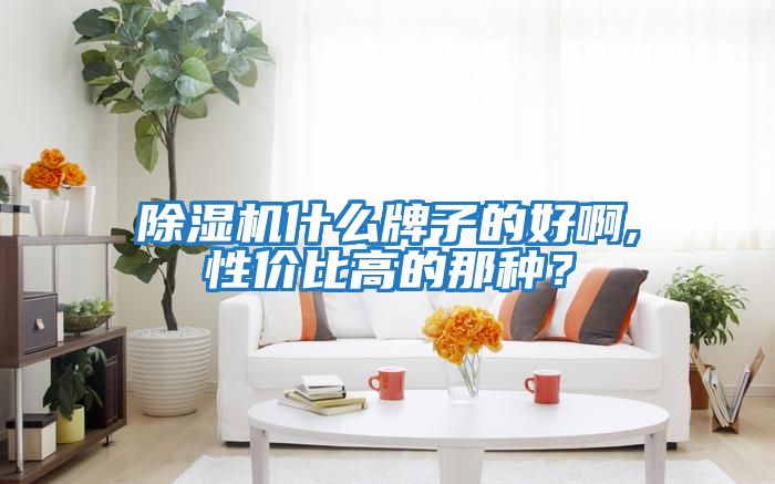 除濕機什么牌子的好啊,性?xún)r(jià)比高的那種？
