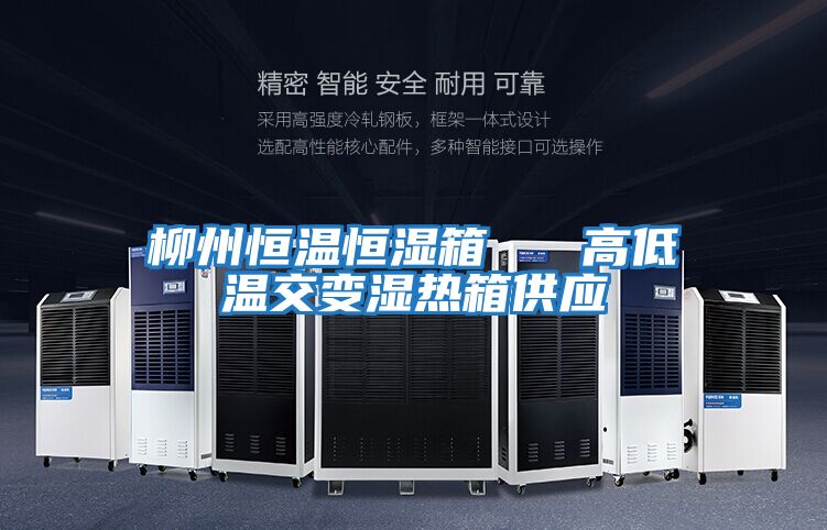 柳州恒溫恒濕箱 高低溫交變濕熱箱供應