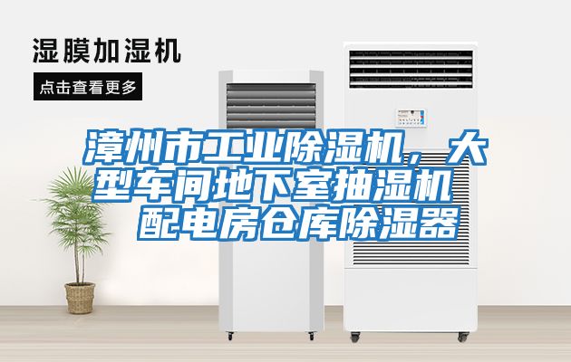 漳州市工業(yè)除濕機，大型車(chē)間地下室抽濕機  配電房倉庫除濕器