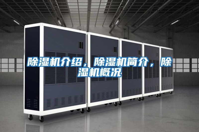 除濕機介紹，除濕機簡(jiǎn)介，除濕機概況