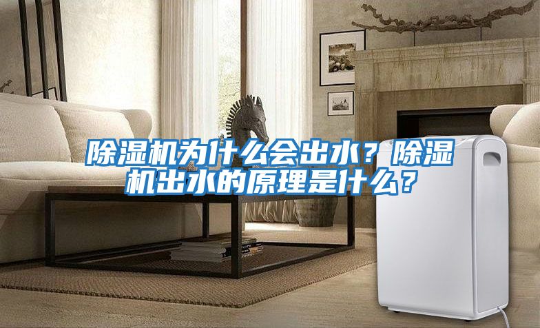 除濕機為什么會(huì )出水？除濕機出水的原理是什么？