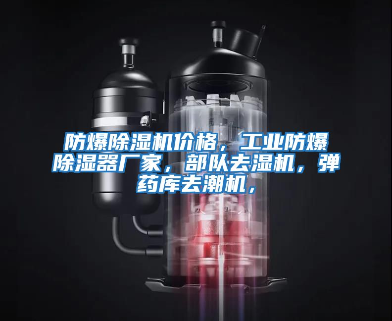 防爆除濕機價(jià)格，工業(yè)防爆除濕器廠(chǎng)家，部隊去濕機，彈藥庫去潮機，