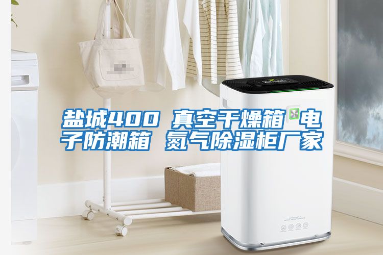鹽城400℃真空干燥箱 電子防潮箱 氮氣除濕柜廠(chǎng)家
