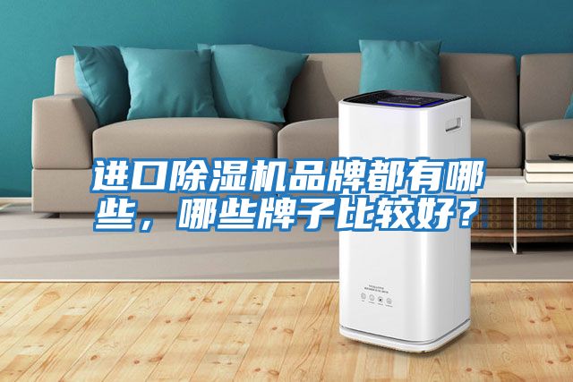 進(jìn)口除濕機品牌都有哪些，哪些牌子比較好？