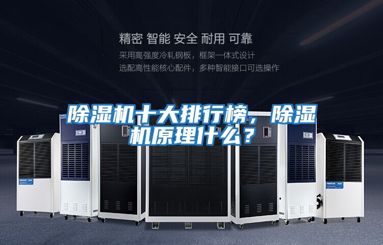 除濕機十大排行榜，除濕機原理什么？