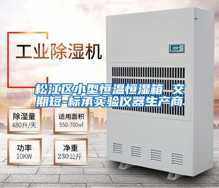 松江區小型恒溫恒濕箱 交期短-標承實(shí)驗儀器生產(chǎn)商