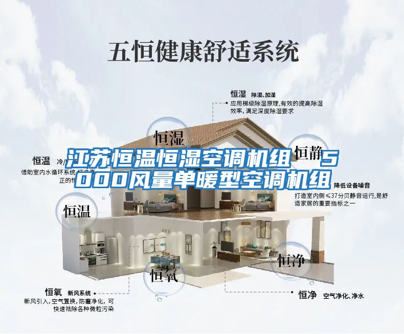 江蘇恒溫恒濕空調機組  5000風(fēng)量單暖型空調機組
