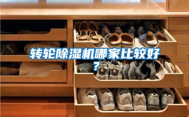 轉輪除濕機哪家比較好？