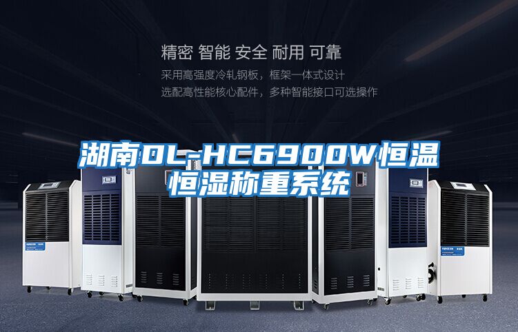 湖南DL-HC6900W恒溫恒濕稱(chēng)重系統