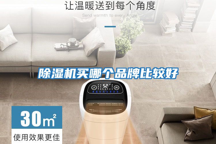除濕機買(mǎi)哪個(gè)品牌比較好