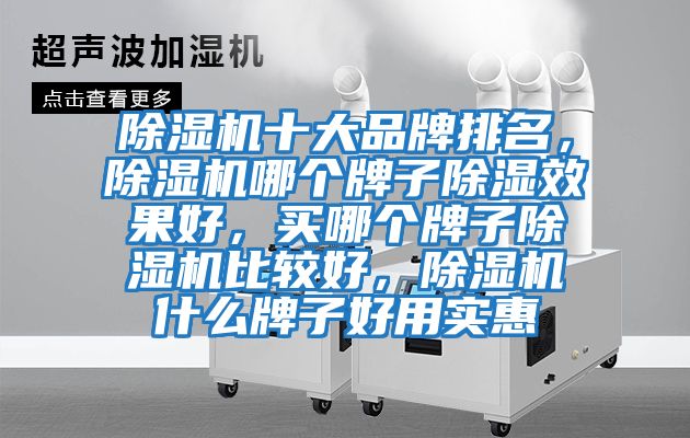 除濕機十大品牌排名，除濕機哪個(gè)牌子除濕效果好，買(mǎi)哪個(gè)牌子除濕機比較好，除濕機什么牌子好用實(shí)惠