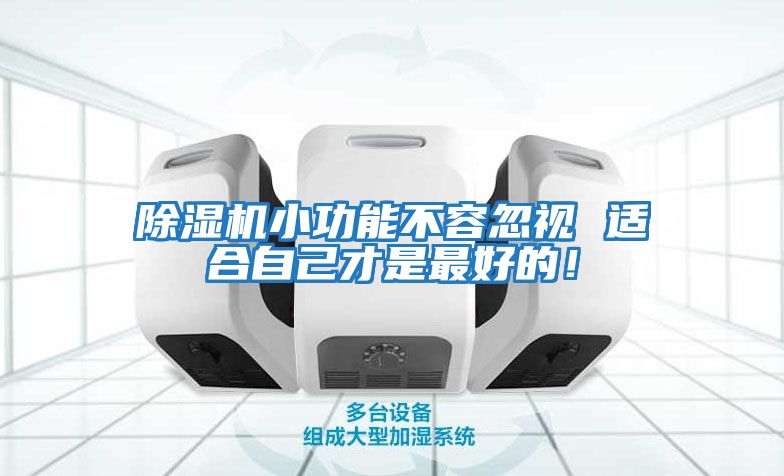 除濕機小功能不容忽視 適合自己才是最好的！