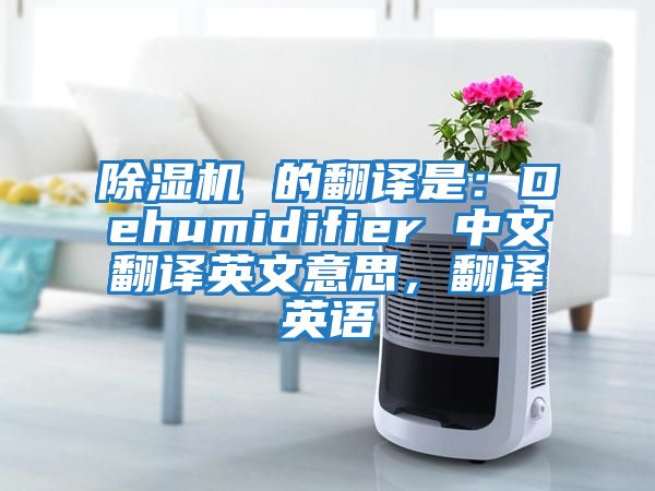 除濕機 的翻譯是：Dehumidifier 中文翻譯英文意思，翻譯英語(yǔ)