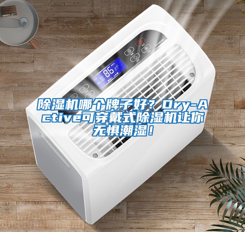 除濕機哪個(gè)牌子好？Dry-Active可穿戴式除濕機讓你無(wú)懼潮濕！