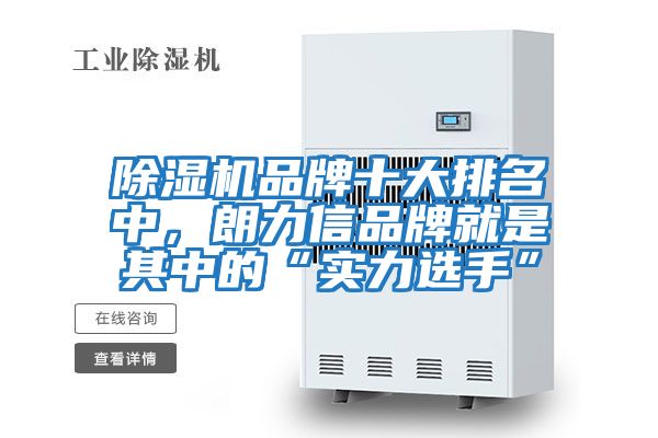 除濕機品牌十大排名中，朗力信品牌就是其中的“實(shí)力選手”
